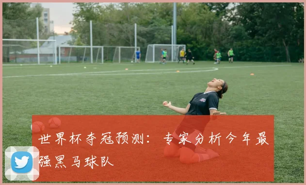 世界杯夺冠预测:专家分析今年最强黑马球队