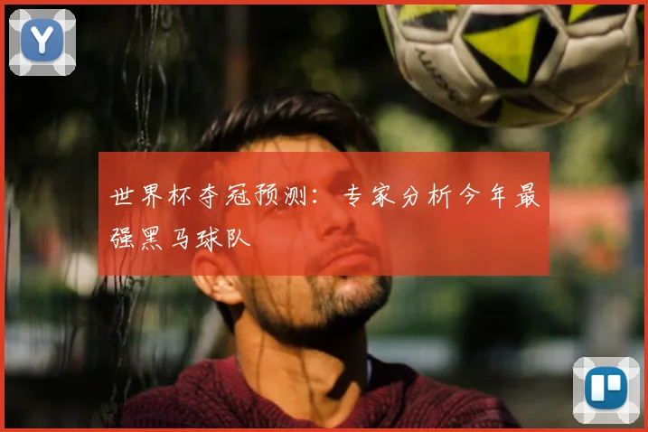 世界杯夺冠预测:专家分析今年最强黑马球队