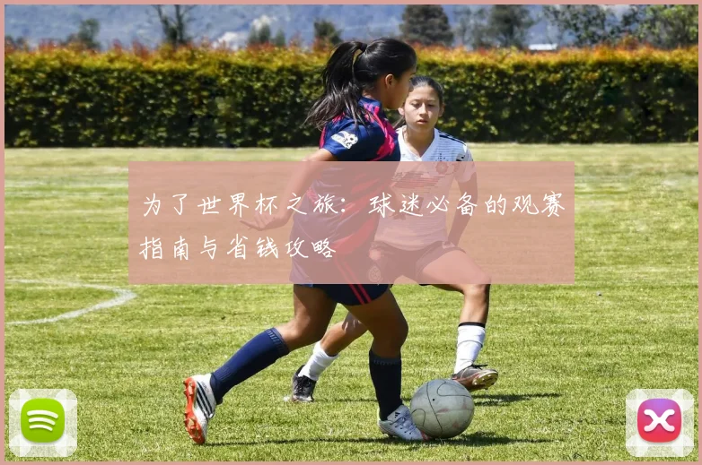 为了世界杯之旅：球迷必备的观赛指南与省钱攻略