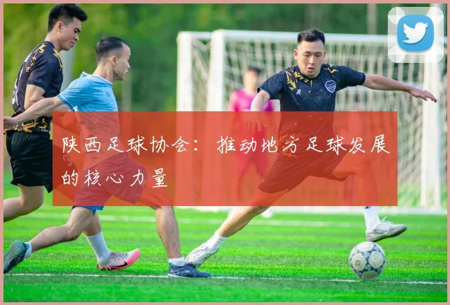 陕西足球协会:推动地方足球发展的核心力量