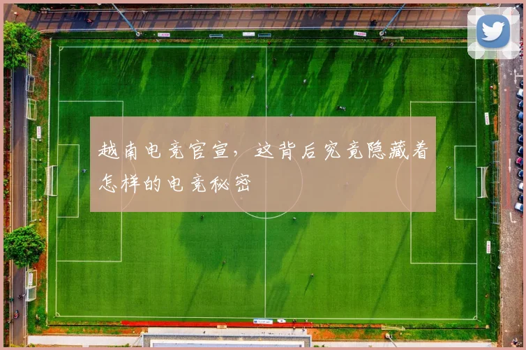 越南电竞官宣,这背后究竟隐藏着怎样的电竞秘密